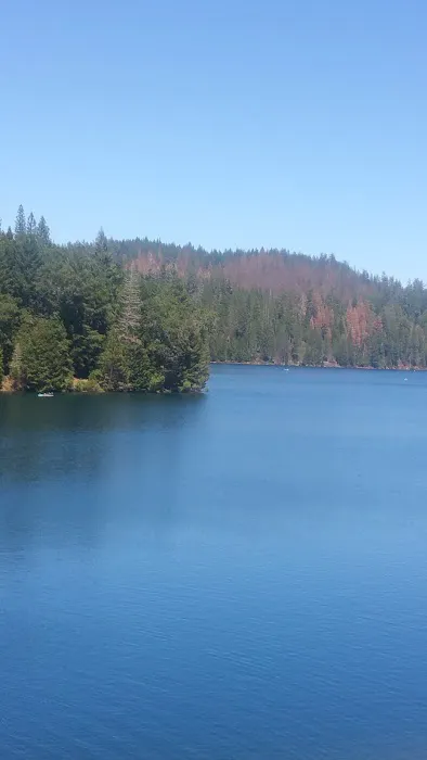 Shirttail Creek Family Campground Picture 5