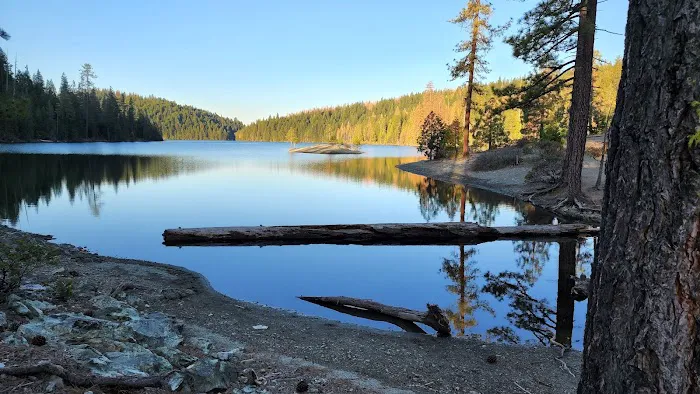 Shirttail Creek Family Campground Picture 2