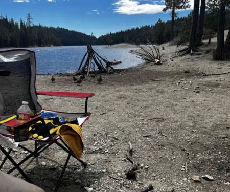 Shirttail Creek Family Campground