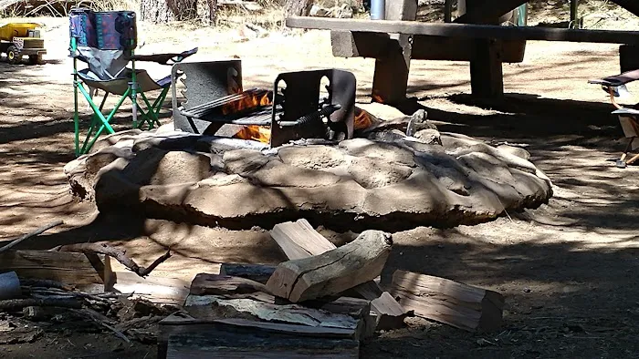Shirttail Creek Family Campground Picture 7
