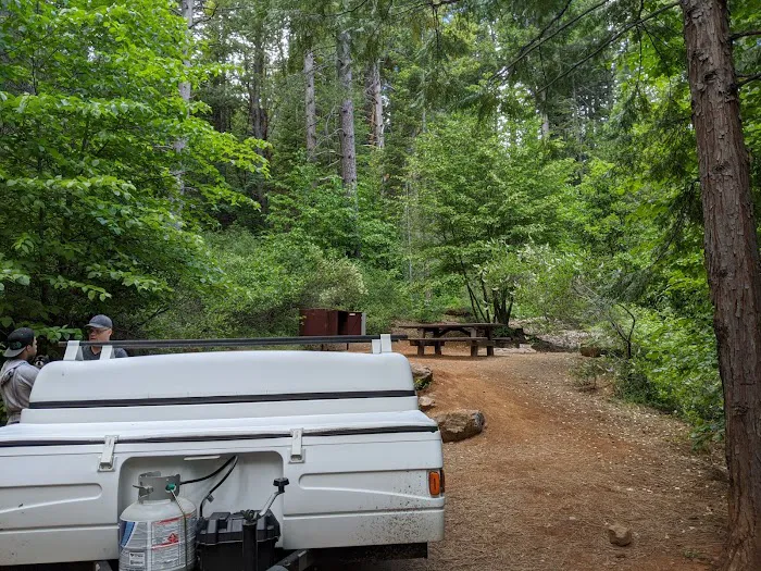 Shirttail Creek Family Campground Picture 9