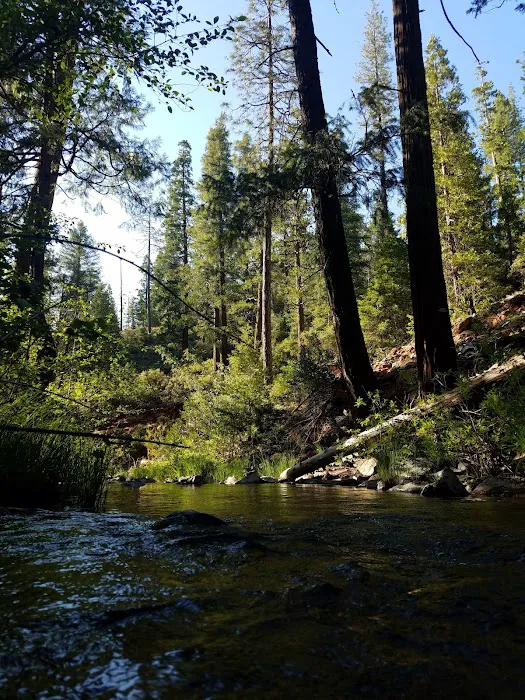 Manzanita Day Use Area Picture 8