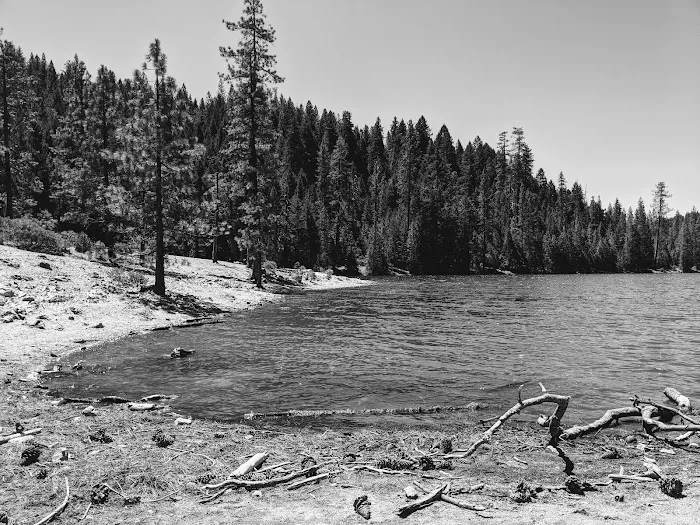 Manzanita Day Use Area Picture 6