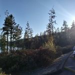 Manzanita Day Use Area