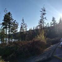 Manzanita Day Use Area ico