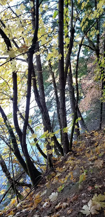 Manzanita Day Use Area Picture 3