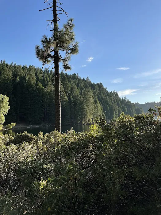 Manzanita Day Use Area Picture 10