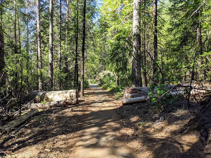 Giant Gap Family Campground Picture 6