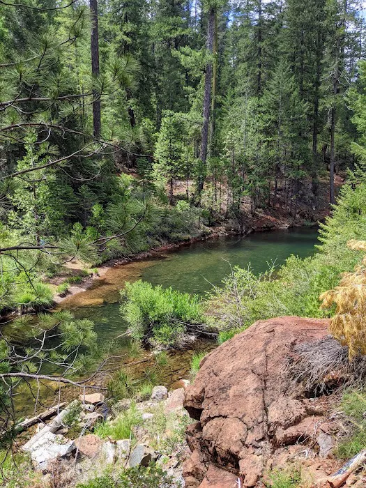 FORBES CREEK Picture 9