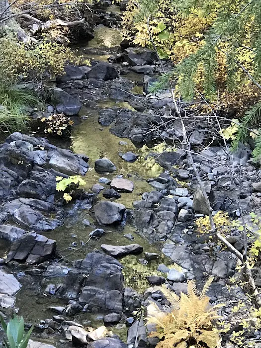 FORBES CREEK Picture 5