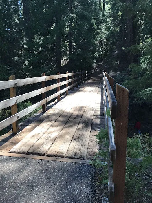 FORBES CREEK Picture 6