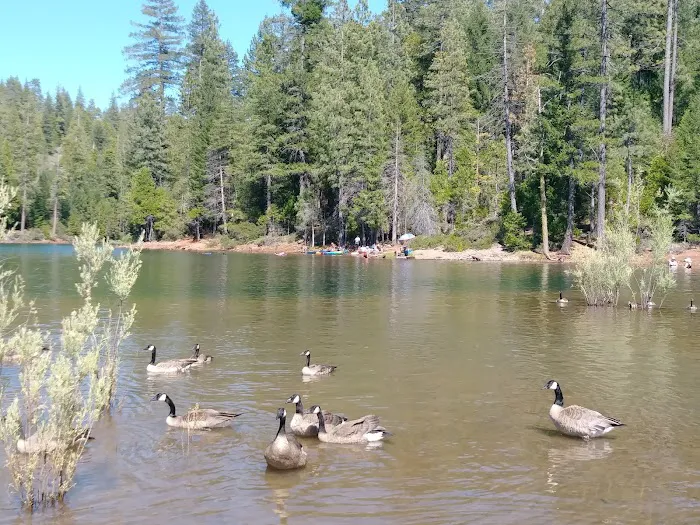 FORBES CREEK Picture 1