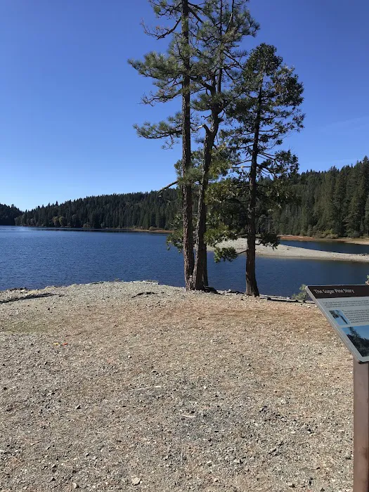 FORBES CREEK Picture 7