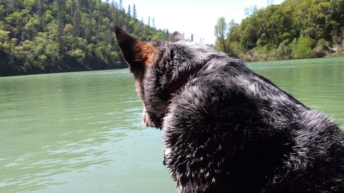 Missouri Bar Picture 5