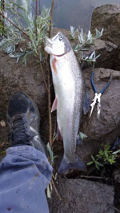 Missouri Bar Picture 1