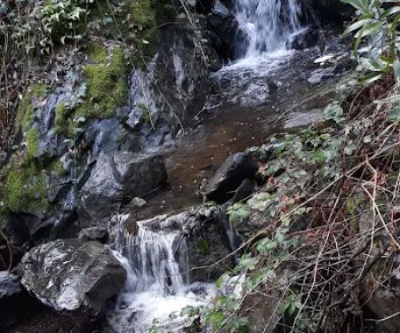 Mineral Bar Campgrounds