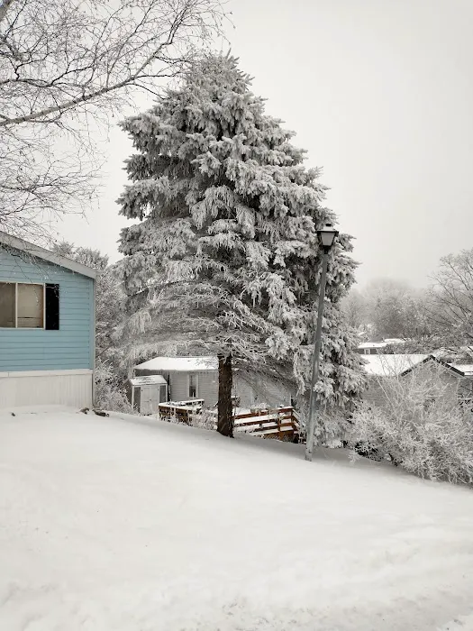 Blue Mounds Mobile Home Community Picture 1