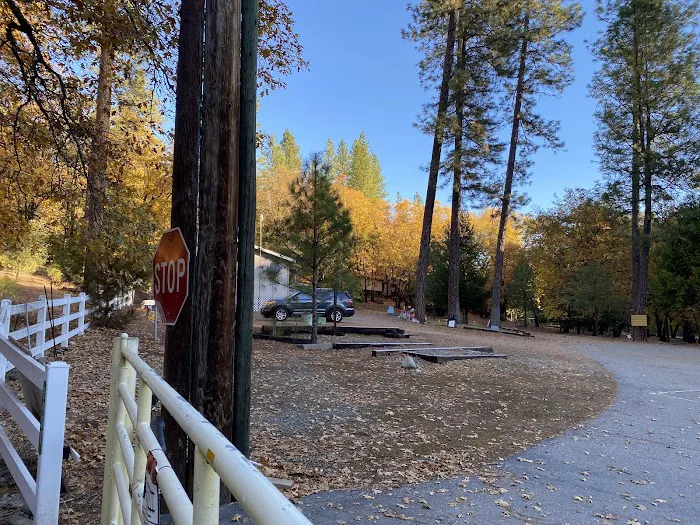 Capital Mountain Camp Picture 1