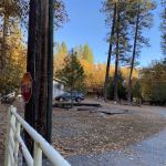 Capital Mountain Camp