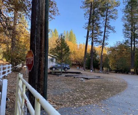 Capital Mountain Camp