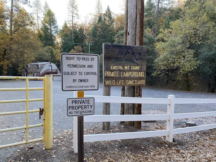 Capital Mountain Camp Picture 5