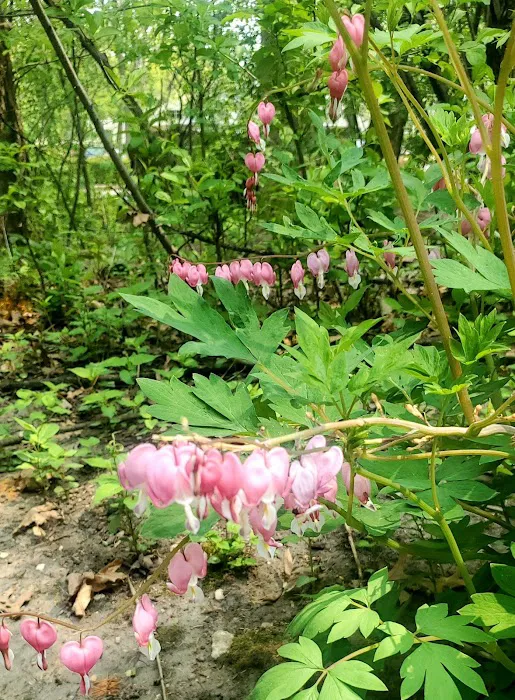 Tremain Mobile Home Park Picture 3