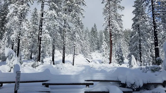 Foresthill, Sugar Pine Staging Area Picture 4
