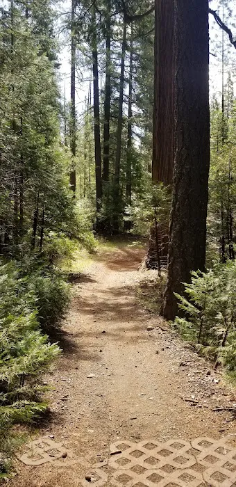 Foresthill, Sugar Pine Staging Area Picture 5