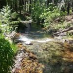 Foresthill, Sugar Pine Staging Area