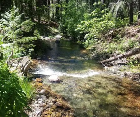 Foresthill, Sugar Pine Staging Area