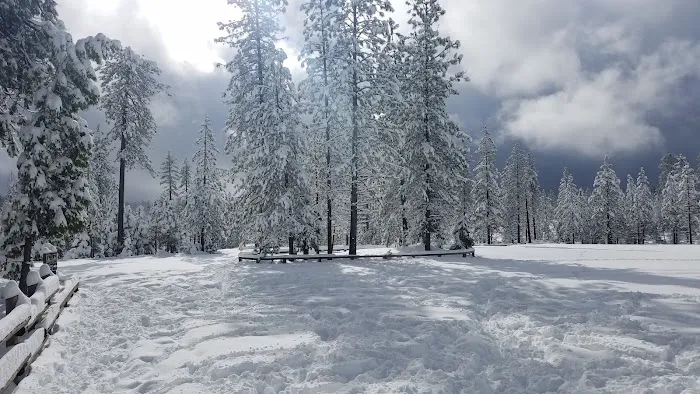 Foresthill, Sugar Pine Staging Area Picture 6