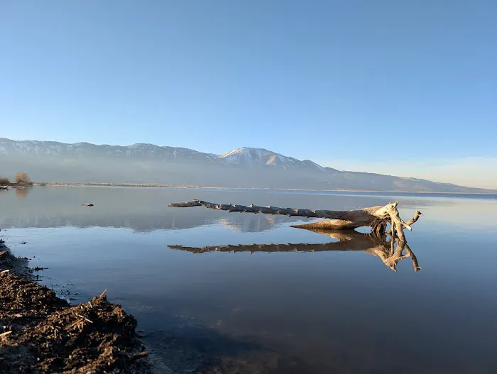 Washoe Lake State Park Campground Picture 2