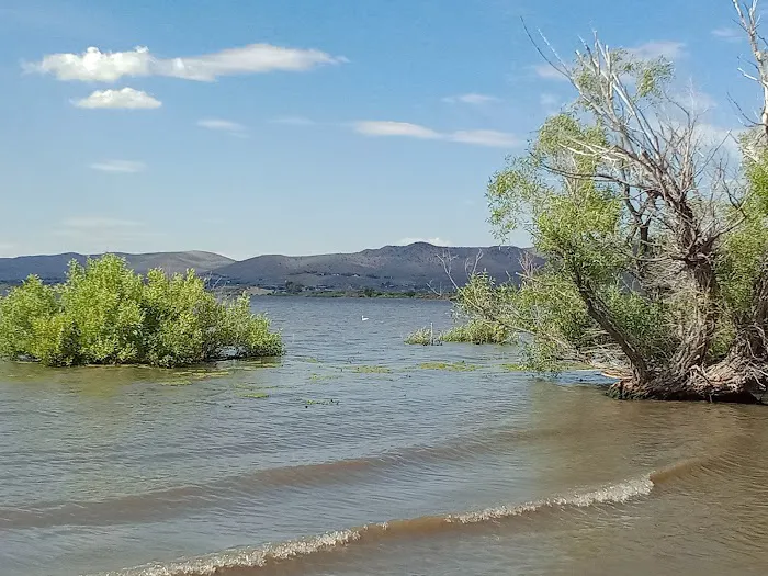 Washoe Lake State Park Campground Picture 7