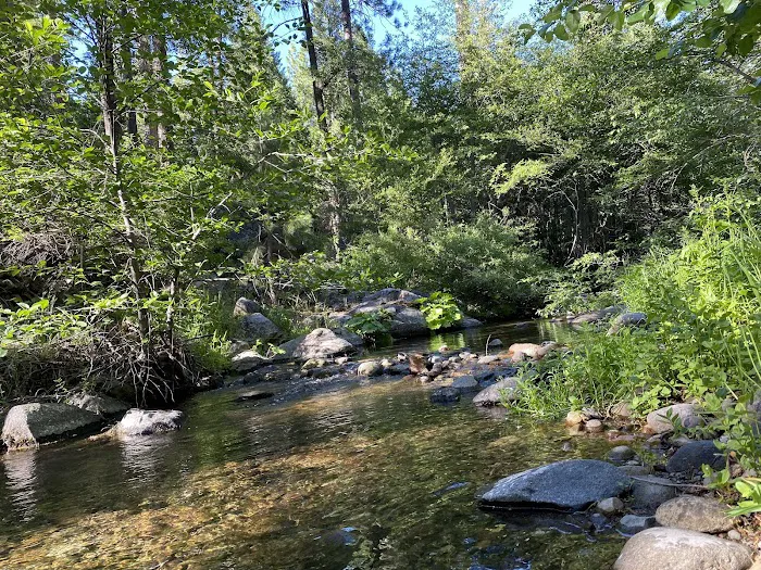 Middle Meadows Group Campground Picture 6