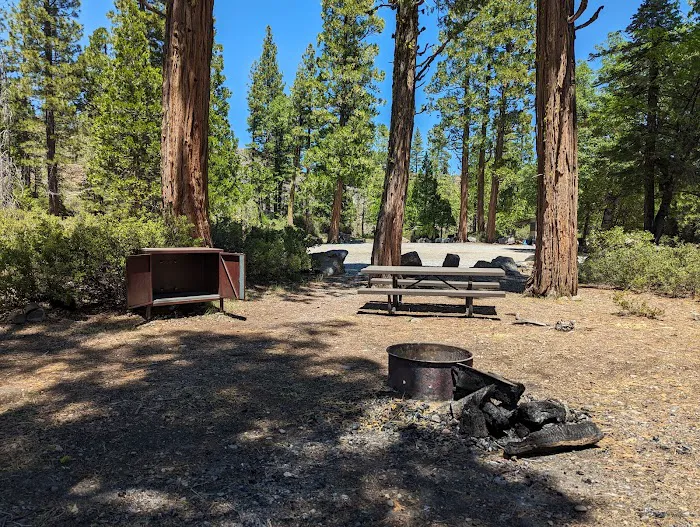 Airport Flat Campground Picture 5