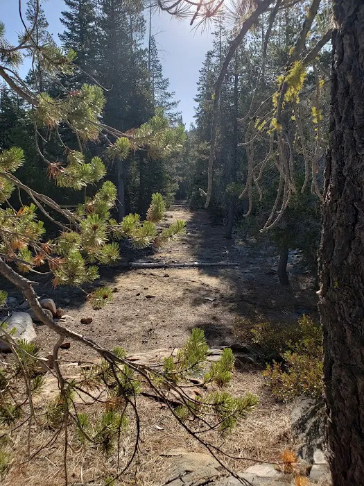 Airport Flat Campground Picture 4