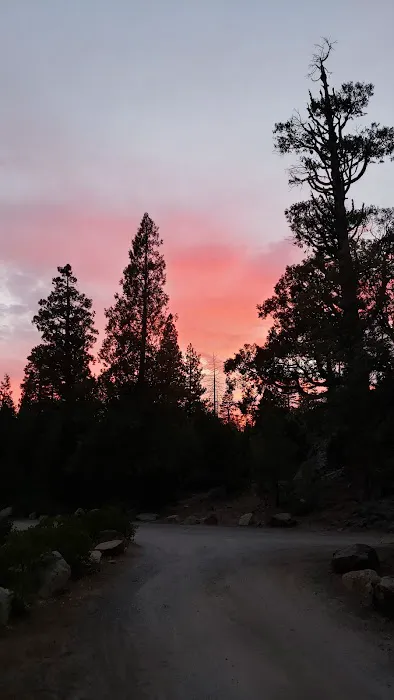 Airport Flat Campground Picture 3