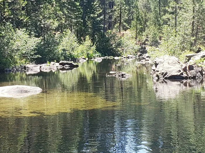 Airport Flat Campground Picture 7