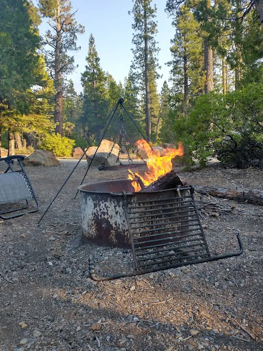 Airport Flat Campground Picture 10