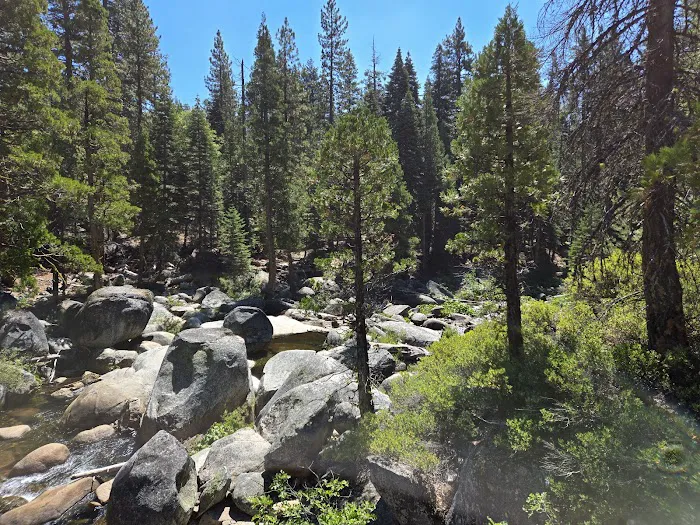 Gerle Creek Campground Picture 6