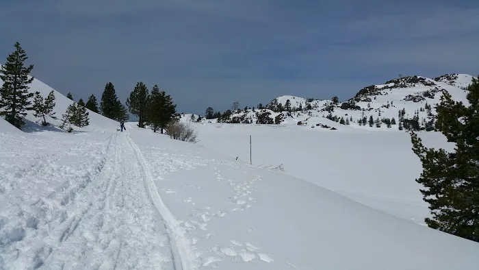 Loon Lake Chalet Picture 6