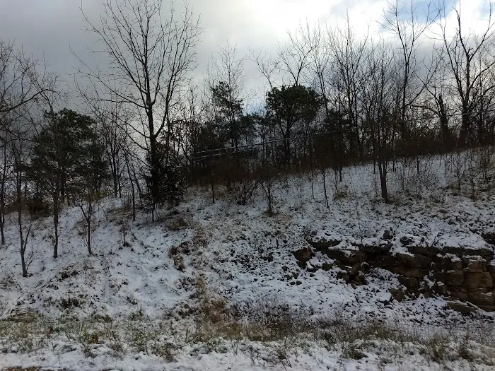 Bay View Heights Picture 9