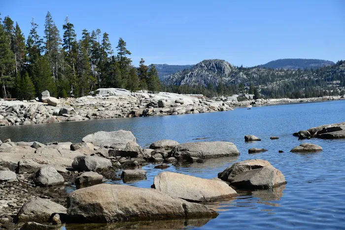 Loon Lake Group Campground #1 Picture 8