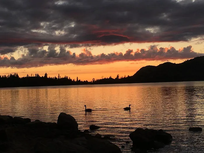 Loon Lake Campground Picture 3