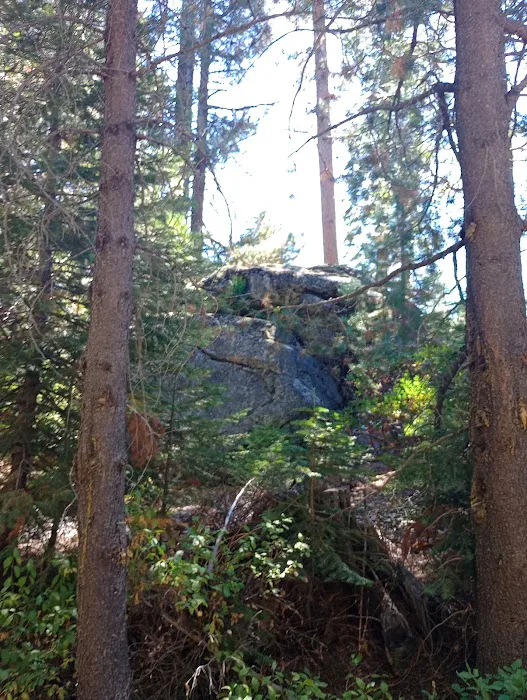 South Fork Group Campground Picture 7