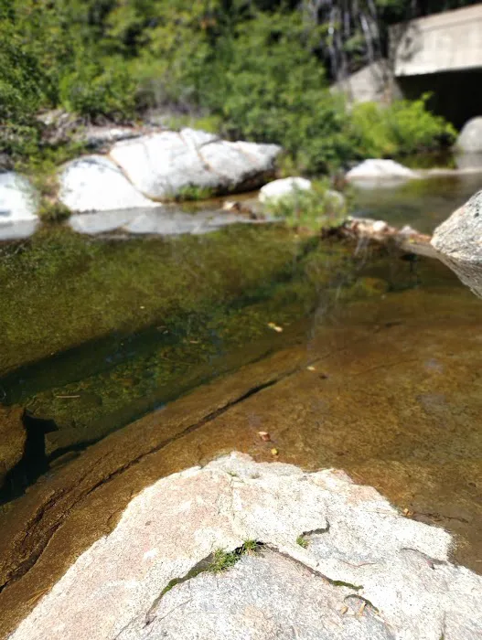 South Fork Group Campground Picture 1