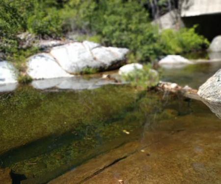 South Fork Group Campground