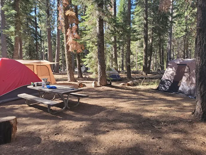 South Fork Group Campground Picture 9