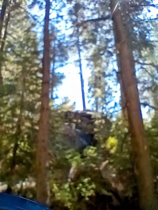 South Fork Group Campground Picture 8