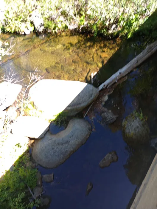 South Fork Group Campground Picture 5